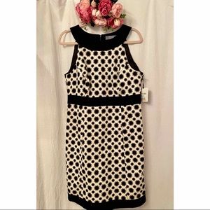 New Merona Collection Black white dress size 12